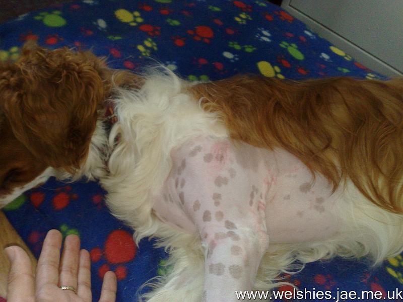 2010-07-31 06.jpg - Look at all my beauty spots